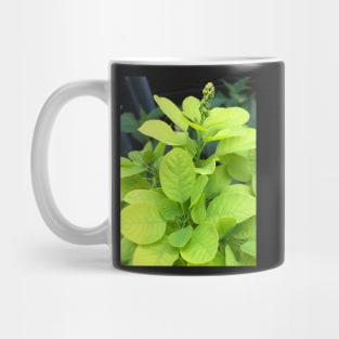 Forest Bathing with the Green Leaves of Our Beautiful Planet Mug